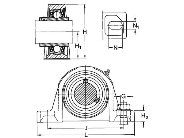 KR031557