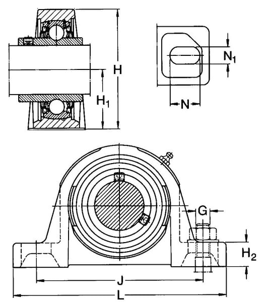 KR031557